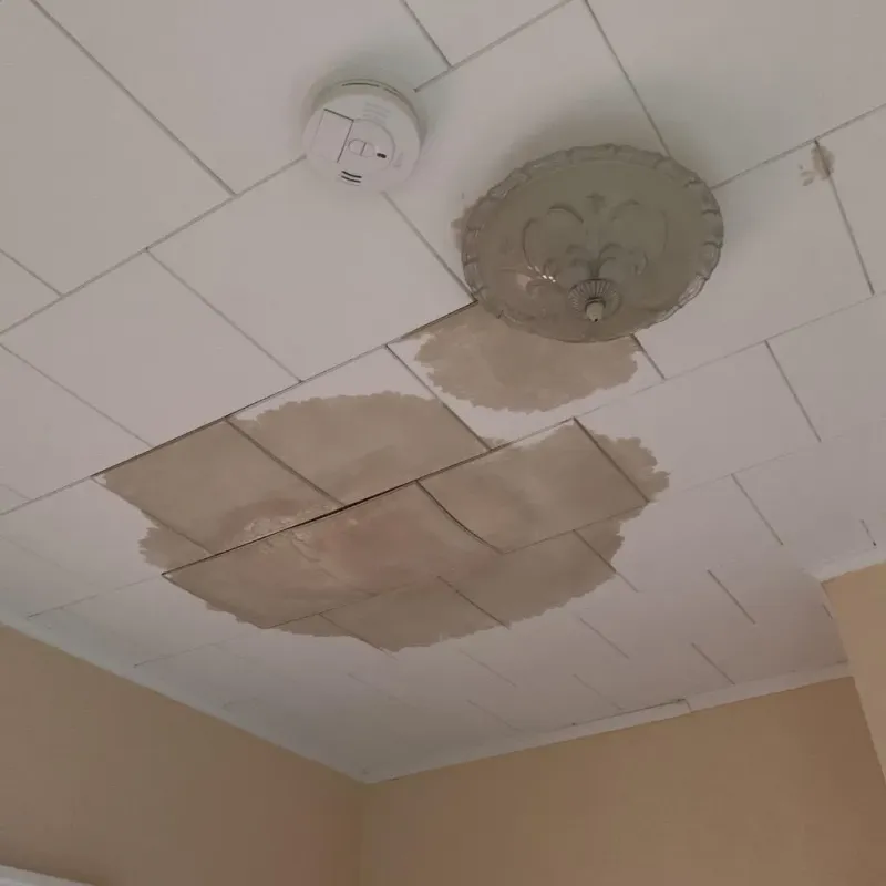 Ceiling Water Damage Repair in Audubon Park, NJ