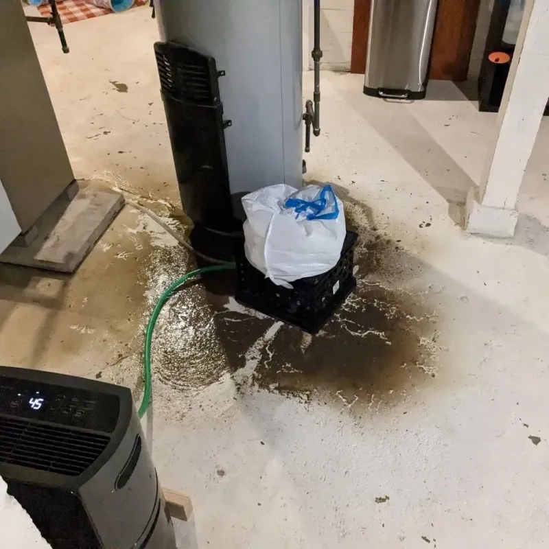 Sewage Backup Cleanup Service in Audubon Park, NJ